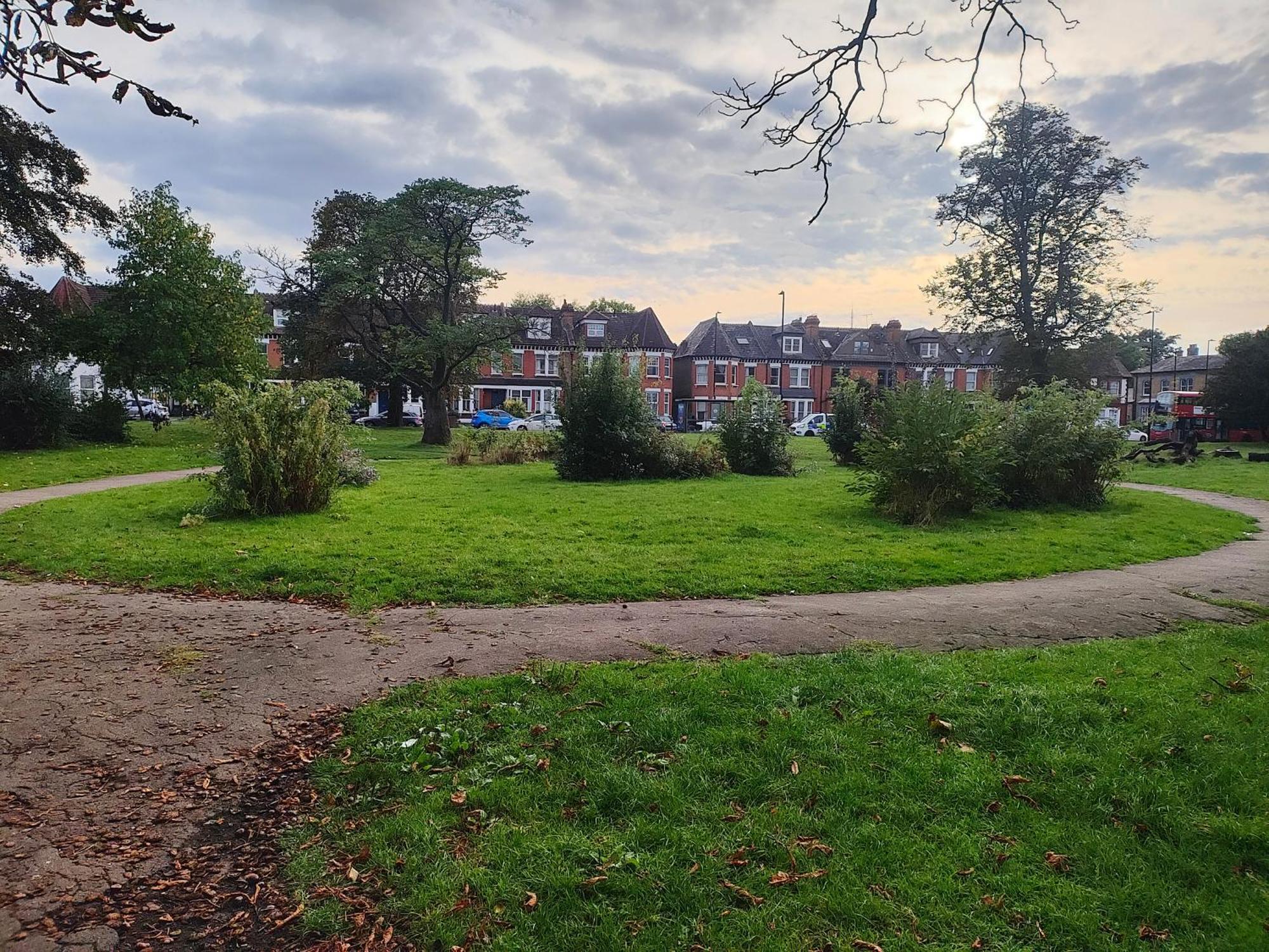 Haringey Nest * Londra